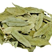 تصویر برگ سنا senna