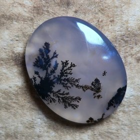 تصویر شجر قائن واضح زیبا 