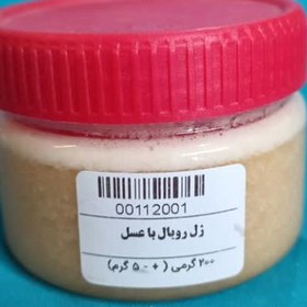 تصویر ژل رویال طبیعی (10گرم ژل رویال + 190 گرم عسل طبیعی) 