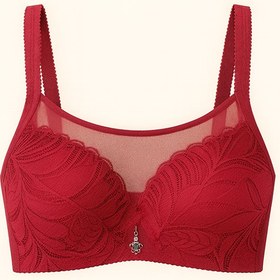 تصویر سوتین زیر کتی 