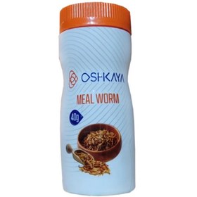 تصویر میل ورم اوشکایا Oshkaya MealWorm