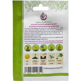 تصویر بذر لوبیا سفید گلبرگ پامچال کد GPF-133 