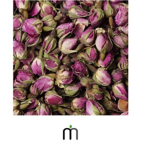 تصویر غنچه گل سرخ 