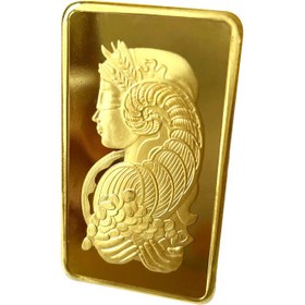 تصویر شمش یادبود طرح ونوس 