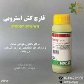 تصویر استروبی بی آ اس اف آلمان Stroby BASF
