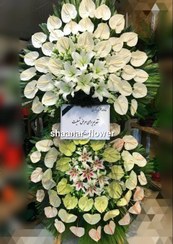 تصویر پایه گل آنتریوم ۲طبقه (pp۸۰۰۱) 