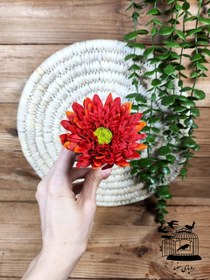 تصویر گل ژربرا کوتاه 