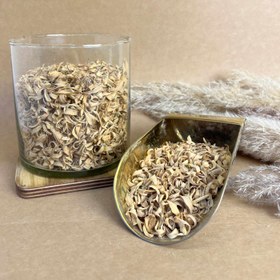 تصویر بهار نارنج 