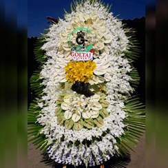 تصویر تاج گل آراما 