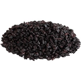 تصویر زرشک آبگیری 