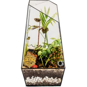 تصویر تراریوم هیمان مدل 5 ضلعی کد HV007 