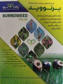 تصویر برنووید BURNOWEED