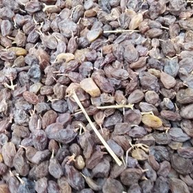 تصویر کشمش آفتابی درجه ۱ ۹۰۰ گرم 
