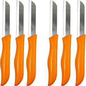 تصویر چاقو آشپزخانه سولینگن تیغه آلمان ۶ عددی 