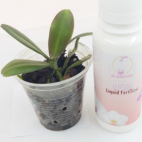 تصویر کود مایع رشد رویشی ارکیده ا Orchid Liquid Fertilizer Orchid Liquid Fertilizer