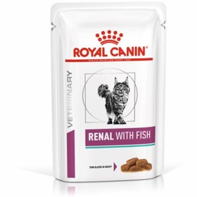 تصویر پوچ گربه رنال رویال کنین با طعم ماهی 85 گرم Royal Canin Renal Fish 85gr