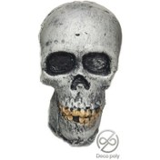 تصویر دکور آکواریوم کله اسکلت 