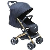 تصویر کالسکه دلیجان مدل مینی پرو بدنه طلایی Delijan stroller model Mini Pro with a golden frame