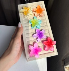 تصویر گلسر پلومریا سایز کوچک 