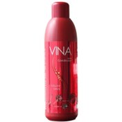 تصویر نرم کننده و تثبیت کننده رنگ مو VINA 1000ml ا Vina Hair conditioner And Color Save 1000ml Vina Hair conditioner And Color Save 1000ml