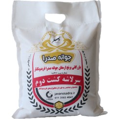 تصویر برنج سرلاشه کشت دوم جوانه صدرا – (کیسه 2.5 کیلویی)p 