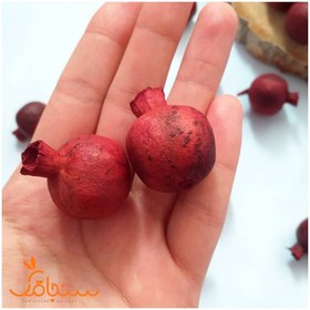 تصویر انار خشک 