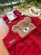 تصویر بیلر (خرس برجسته) 