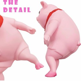 تصویر خوک شنی 