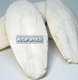 تصویر کف دریا تازه 