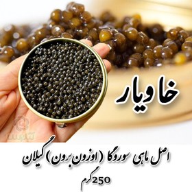 تصویر خاویار ماهی سوروگا ( اوزون برون ) گیلان 250 گرمی 