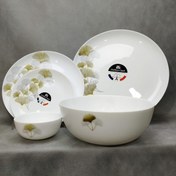 تصویر سرویس آرکوپال 6 نفره ریوان کرم 