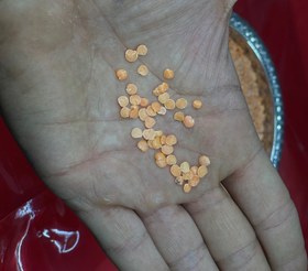 تصویر دال عدس احمر 