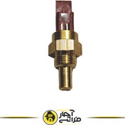 تصویر سنسور ان تی سی پکیج ایران رادیاتور مناسب برای ایران رادیاتور، بوتان، ایساتیس و تمامی مدل ها Iran Radiator Package NTC Sensor