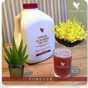 تصویر فوراور آلوئه بری نکتار Forever Aloe Berry Necta