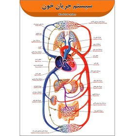 تصویر پوستر آموزشی سیستم جریان خون A3 