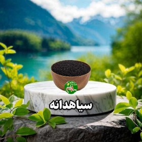 تصویر سیاهدانه 