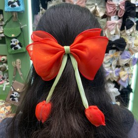 تصویر گیره فرانسوی یلدایی 