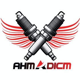 تصویر پولی ادجاست پراید برند چیتا 