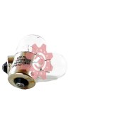 تصویر لامپ فندوقی 12 و 24 ولت لی تک 