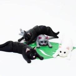 تصویر گربه آویزان 