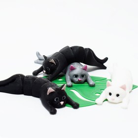 تصویر گربه آویزان 