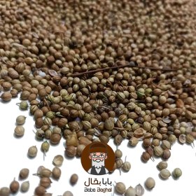 تصویر تخم گشنیز 