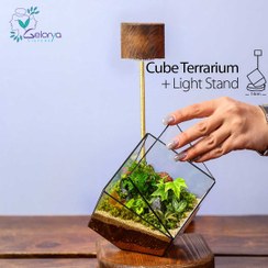 تصویر تراریوم مدل کیوب 
