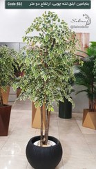 تصویر درختچه مصنوعی بنجامین 200 سانت ابلق 
