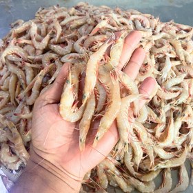 تصویر میگو پلویی تازه جنوب 