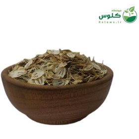 تصویر گلپر 1 کیلویی 