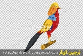 تصویر قرقاول بلژیکی png 