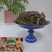 تصویر پونه کوهی 