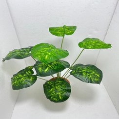 تصویر درختچه مصنوعی دیفن باخیا 