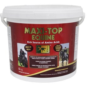 تصویر MAXI_Top EQUINE 